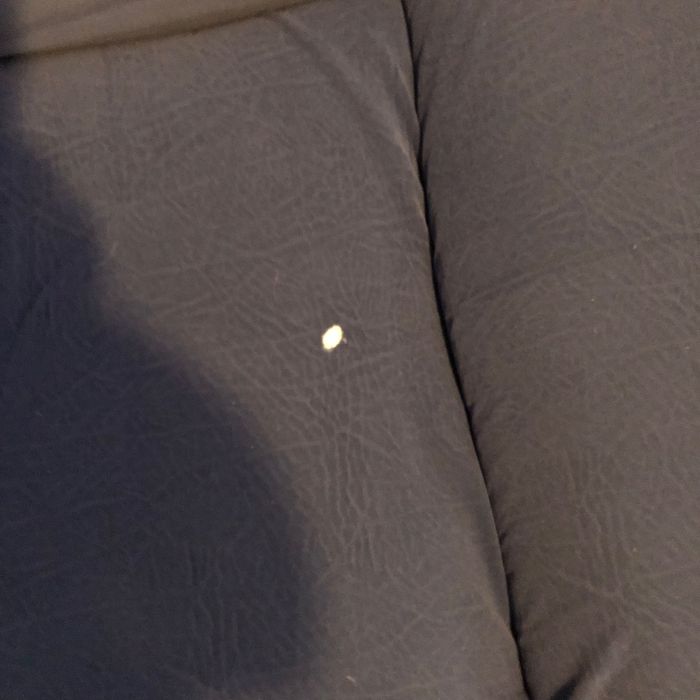 Sofá de dois lugares azul