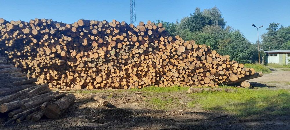 Drewno do kominka i pieca Suche mokre wiele rodzajów