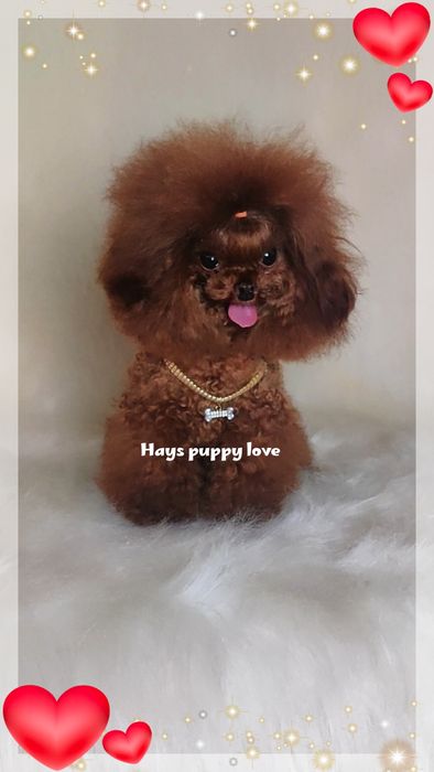 ‼️Яркий супер парень‼️