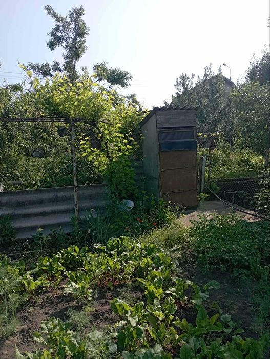 Продається дача с. Підгороднє.