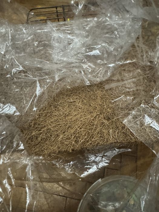 Клітка для хомʼяка