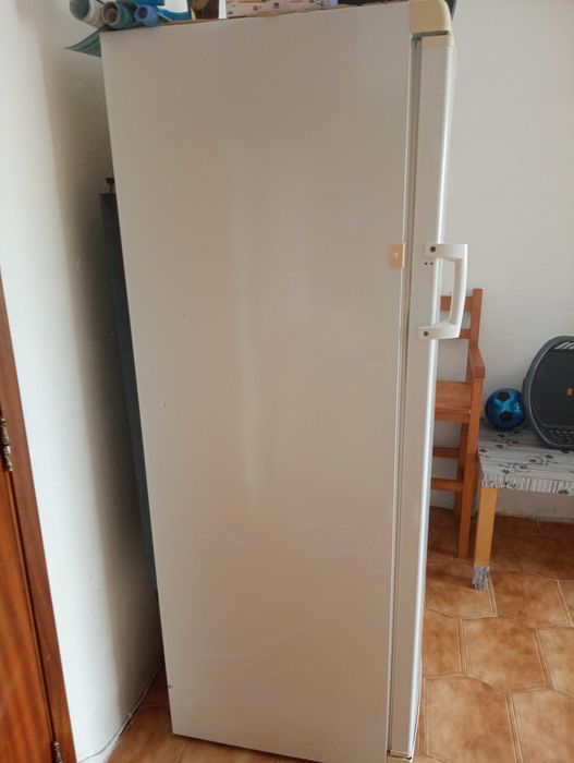 Arca vertical congeladora