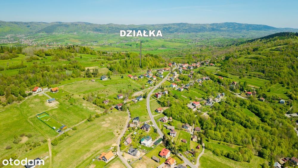 Zdjęcie 3