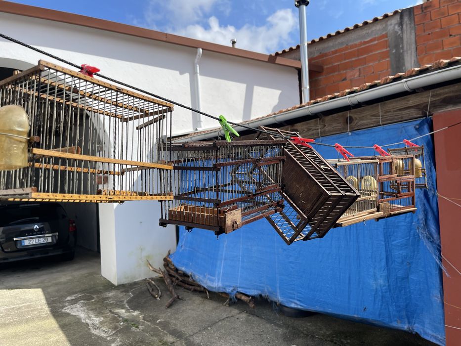 Gaiola pequena ou transportadora