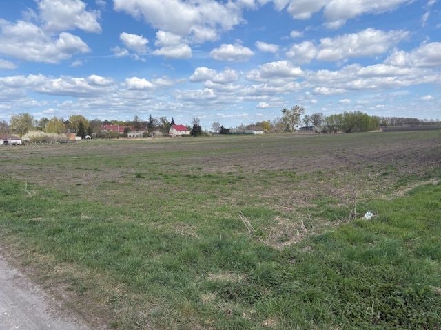 Dzialki budowlane z Warunkami zabudowy, Parchanie okoloce Inowroclawia Balczewa Slońsko