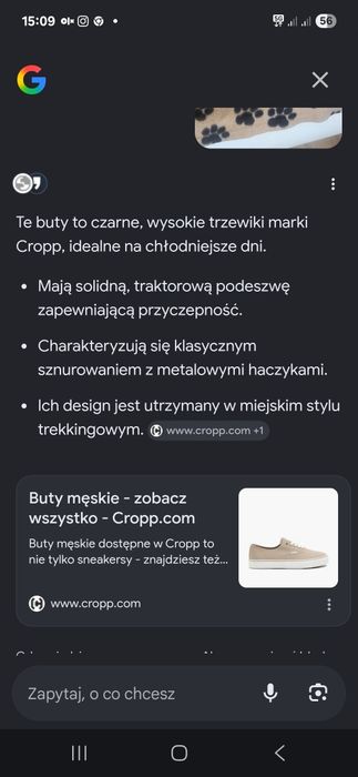 Buty męskie Cropp 43