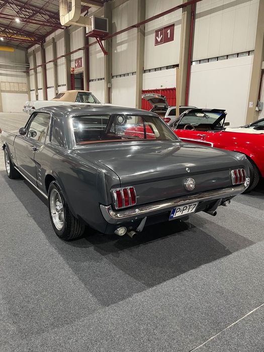 Ford Mustang  V8 — photo 4