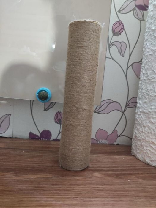 Котяка кігтеточка