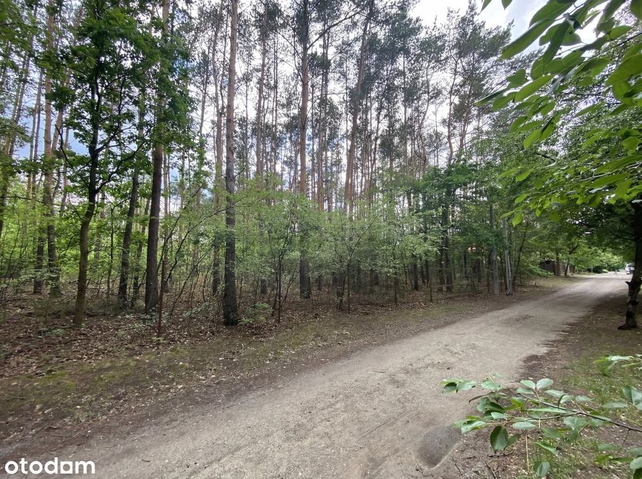 Działka 1500 m² pod zabudowę jednorodzinną w Legionowie.