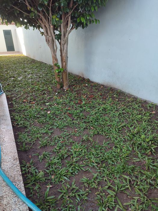 Serviço jardinagem