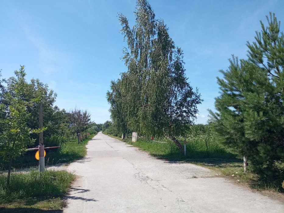 Продаж ділянки для душі поблизу села Гамаліївка!