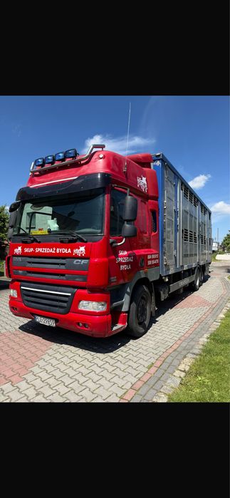 DAF