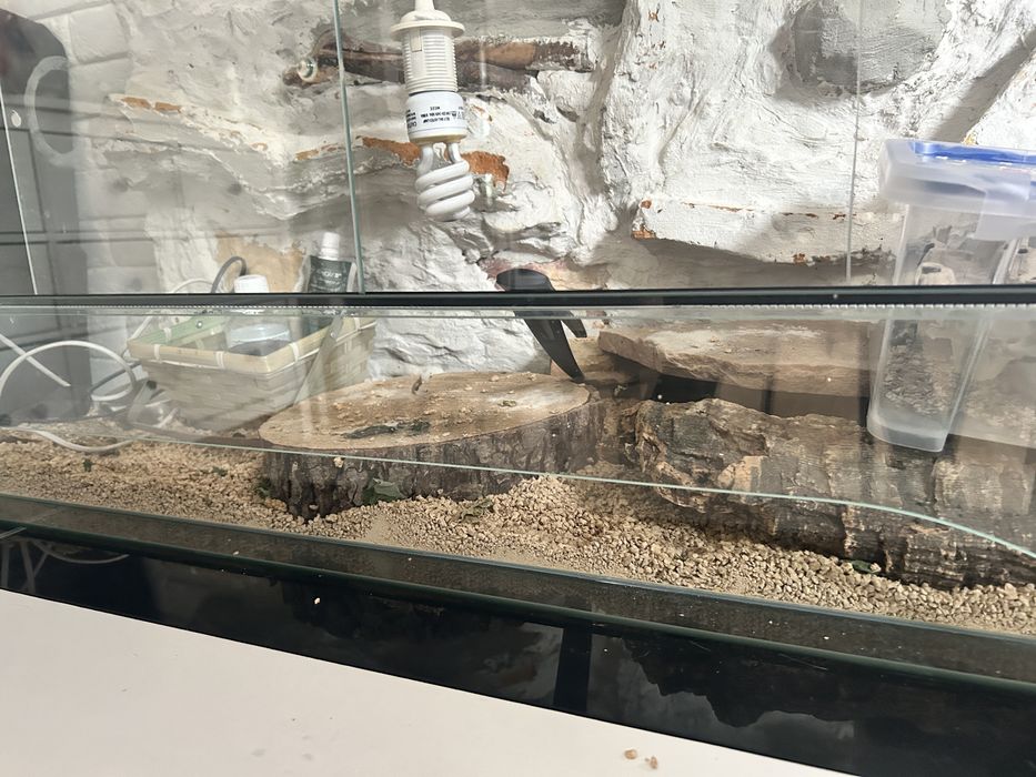 Terrarium 100x50x40