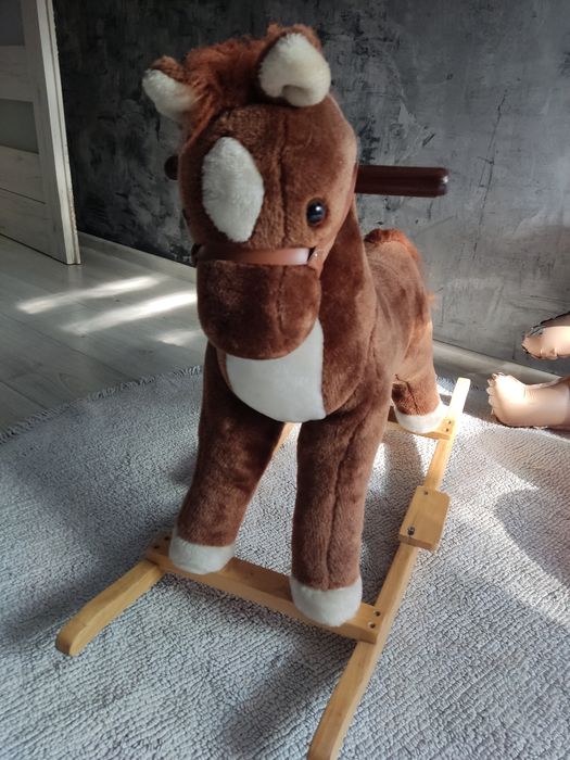 Konik na biegunach
