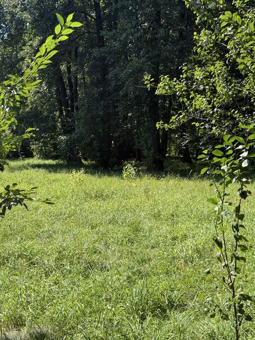 Затишна земельна ділянка під будинок в 17хв. від міста.