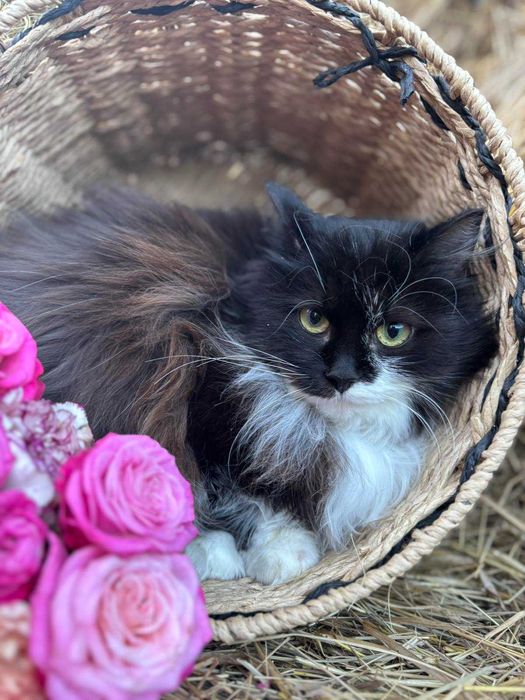 Неймовірна красуня в пошуках родини