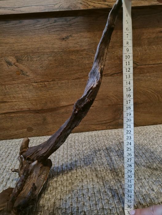 Duży korzeń 65 cm terrarium akwarium