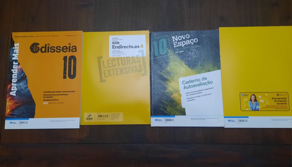 Cadernos de atividades 10° ano