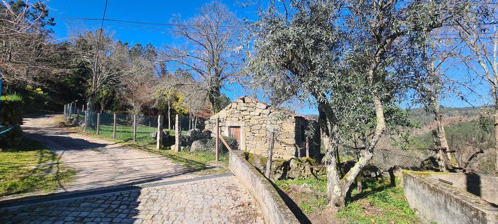 Terreno com Ruínas e Grande Potencial — Próximo Termas de S. Pedro Sul