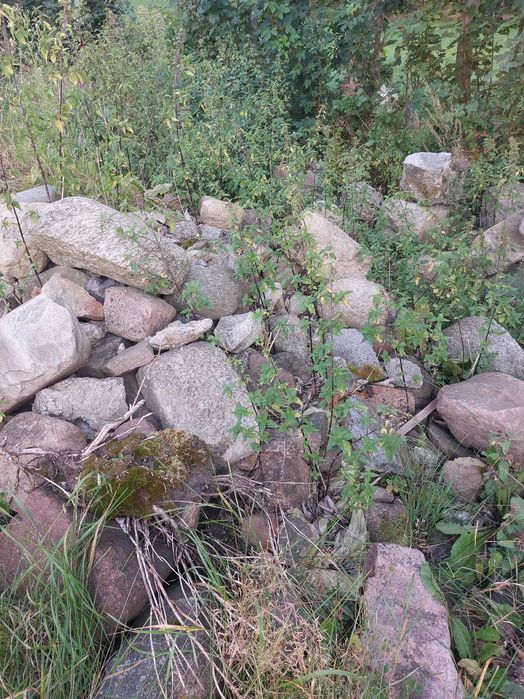 Kamień łupany z rozbiórki
