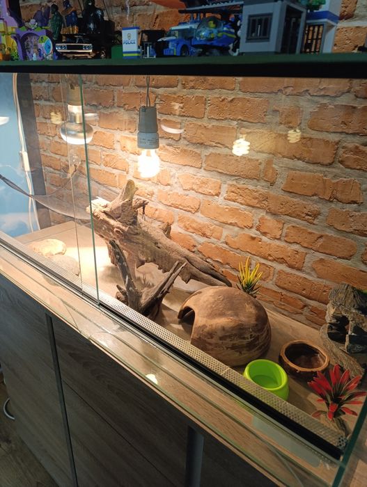 Terrarium dla zwierzątka