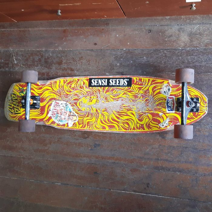 Skate Longboard Fish Santa Cruz Hera Road Rider a Rolar Bem