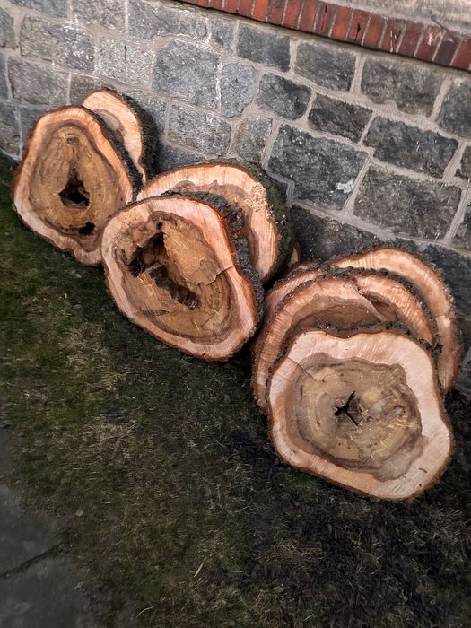 Drewno Wiąz świeżo cięte duże plastry handmade żywica