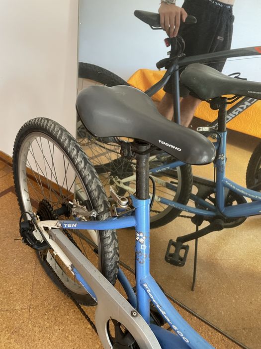 Bicicleta simples