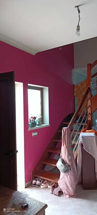 Pintor profissional422068335999068161