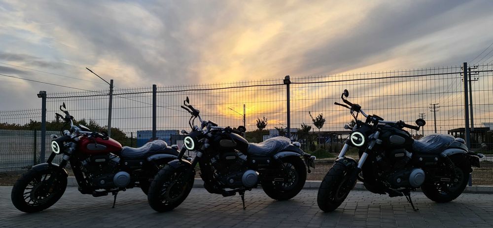 BENDA Chinchilla BD300 Sporty