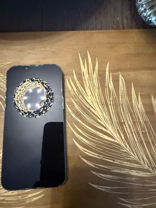 iPhone 13 Pro 256 GB