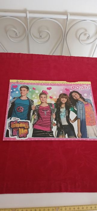 Poster Shake it Up