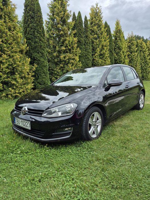 Volkswagen Golf VW Golf 1.6 TDI DSG pierwszy właściciel serwisowany bezwypadkowy