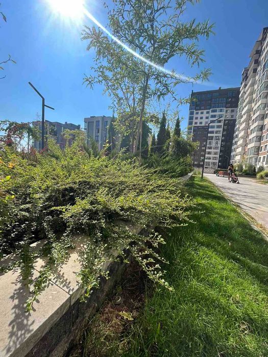 СРОЧНО! 3к 79м2  в премиум ЖК Приморские Сады