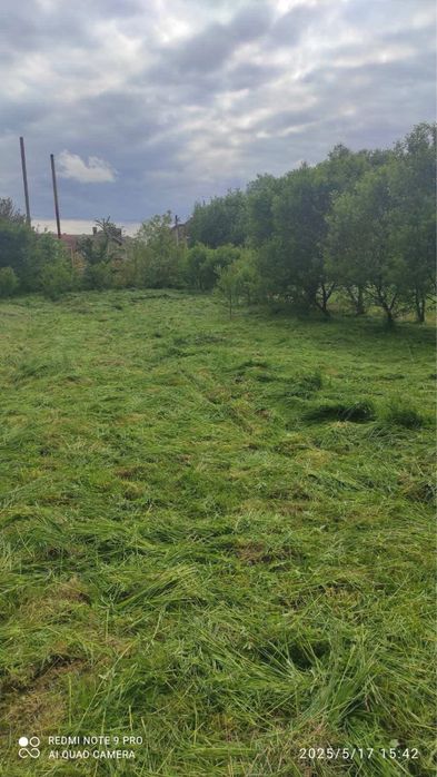 Косіння трави ,чистка ділянки , чагарників.