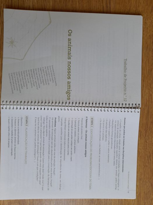 Interdisciplinariedade (DAC): Aprender a trabalhar em projecto