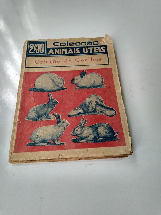 Criação de Coelhos de S. Carreras