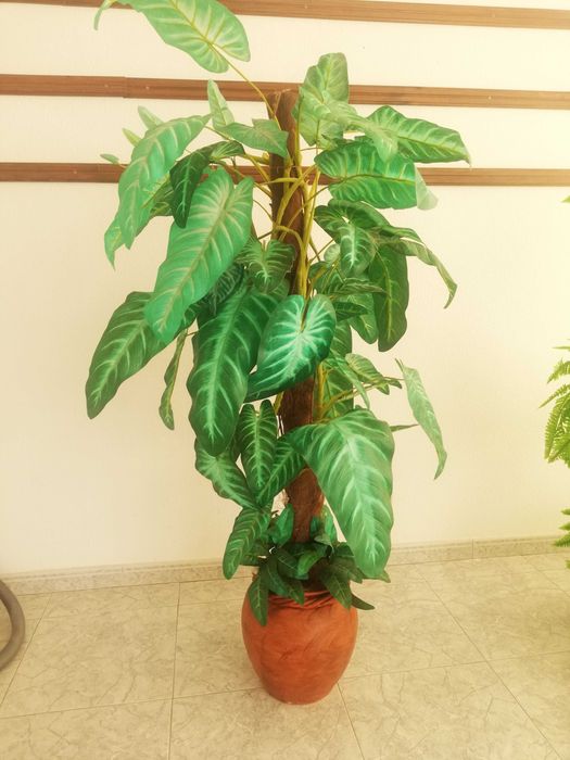 Vendo planta artificial