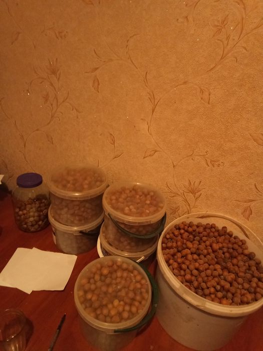 Продам великий будинок!в