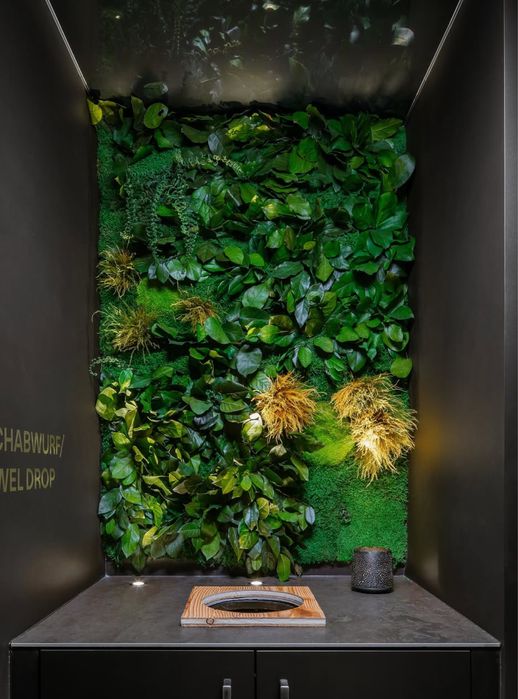 Картини з Мохом. Декор із Моху. Фітопанель з Моху