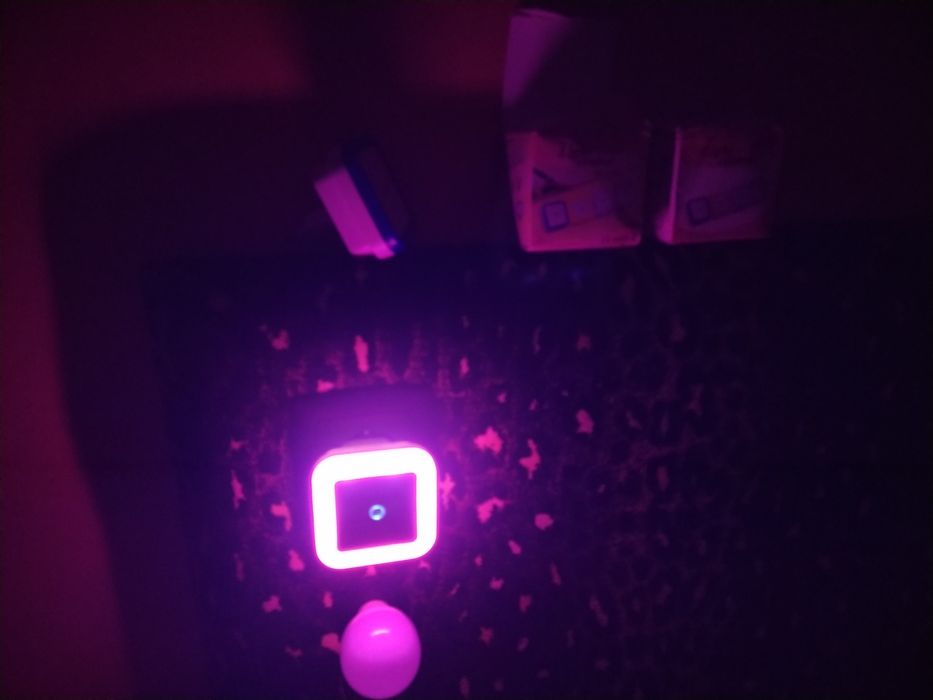 Lâmpada luz led de presença noturnas bebé casa quarto apartamento vive