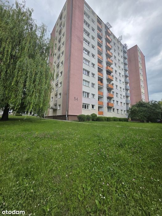 Przytulne mieszkanie z balkonem w Poznaniu