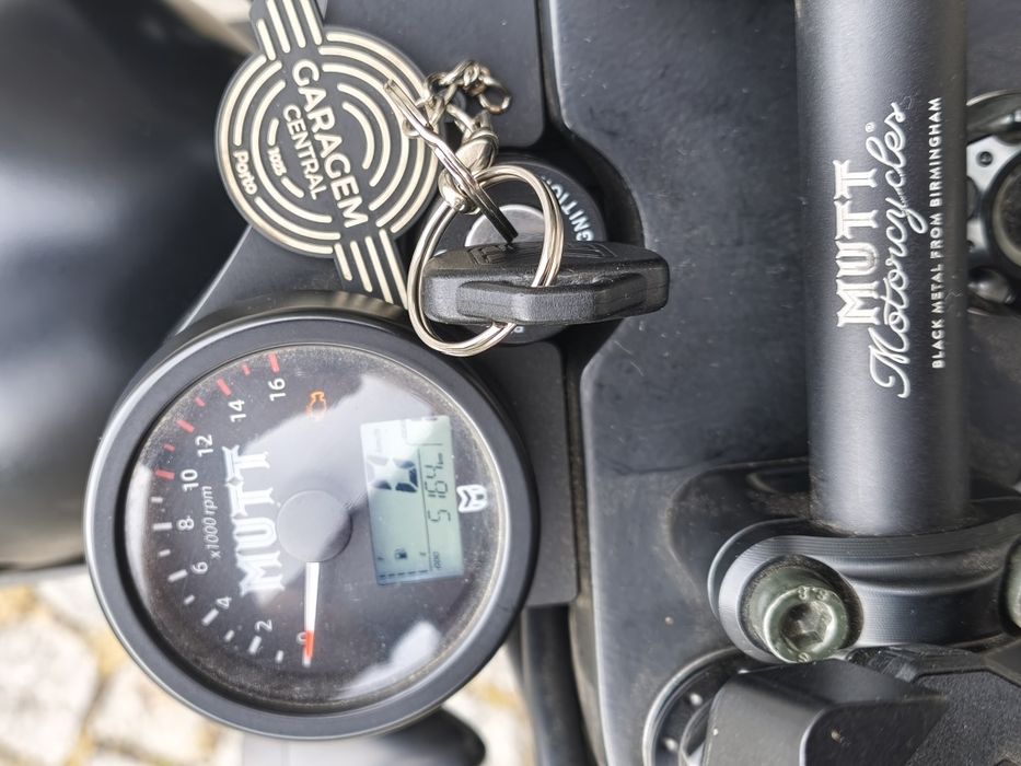 Mutt Akita Full black