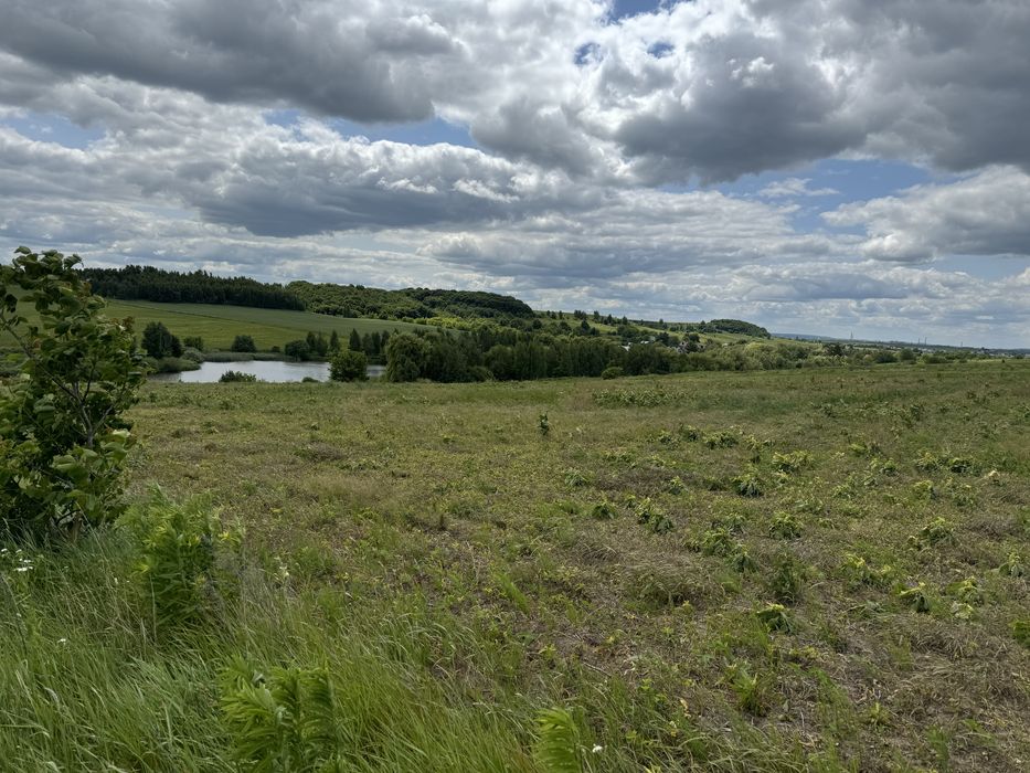 Продаж земельної ділянки в Колоденці 15.5 сотки біля ставу і лісу