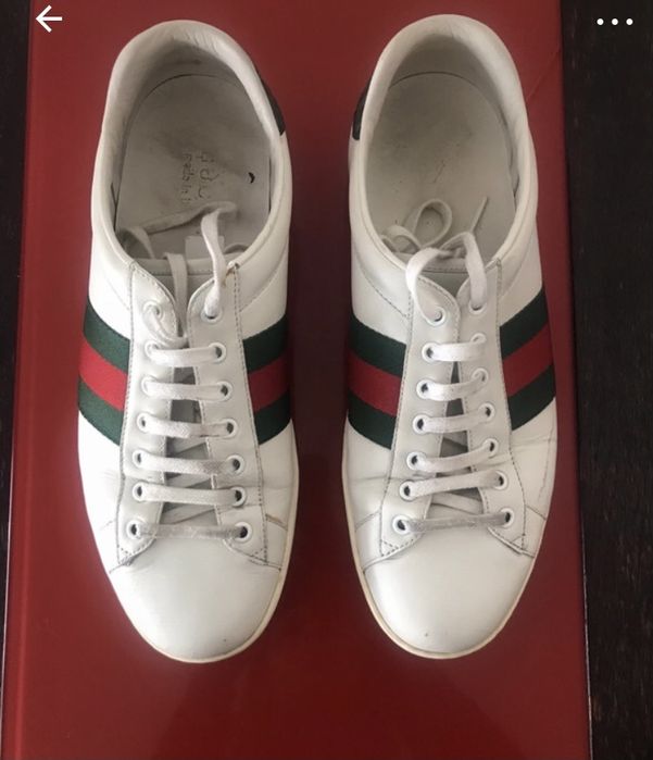Tenis da Gucci / Ace sneaker
