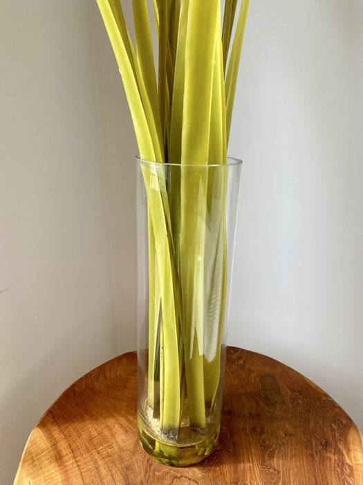 Jarra de vidro com arranjo flores brancas