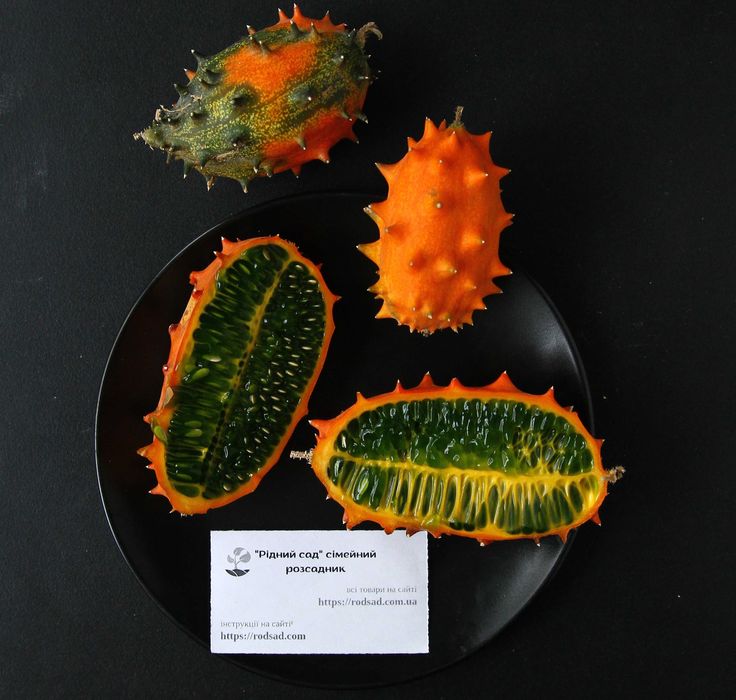 Огірки насіння (23 сорти) огурец семена є безкоштовна доставка