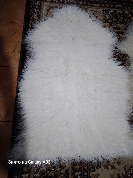 Шкура барана овцы