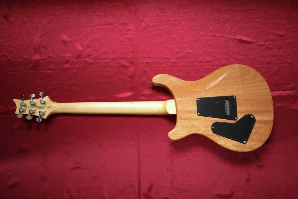 PRS SE Custom 24-8 (Eriza Verde)