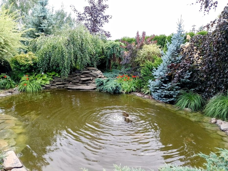 Ogrody - Brzeziny, Koluszki